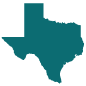 texas icon