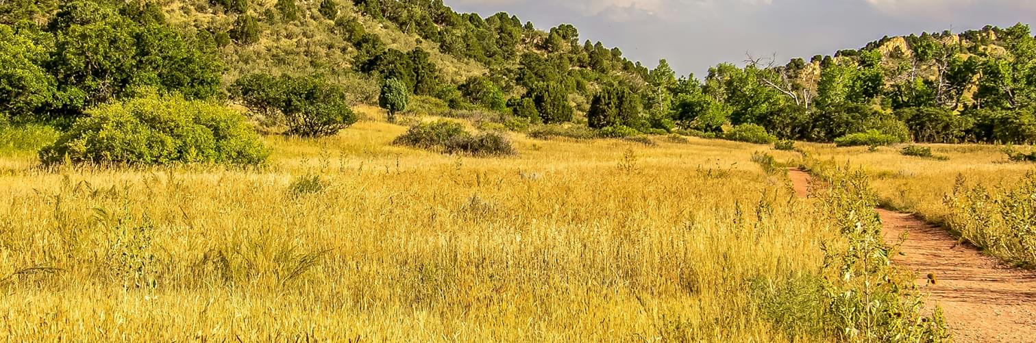 A dirt trail runs through a grassy field with green trees and hills in the background under a partly cloudy sky.